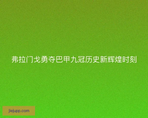 弗拉门戈勇夺巴甲九冠历史新辉煌时刻